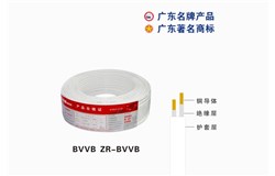 BVVB ZR-BVVB欧美日韩欧美日韩国产精品電纜